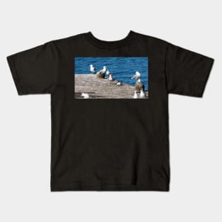 Caspian Terns and Gulls on a Dock. Kids T-Shirt